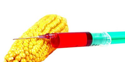 Genetiği değiştirilmiş ilk 10 besin