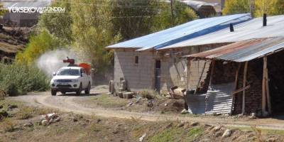 Van’da bir mahalleyi pireler bastı