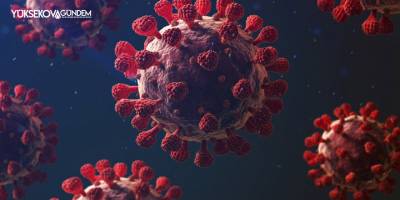 Omicron mutasyonu Japonya'ya sıçradı