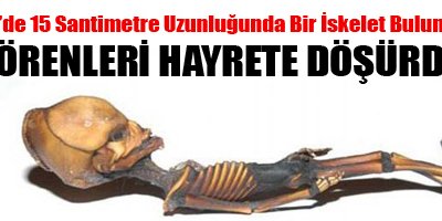 Görenleri hayrete düşürdü!