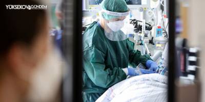 Dünyada yaklaşık 5,5 milyon kişi Covid-19 nedeniyle hayatını kaybetti