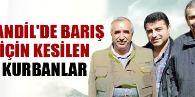 Kandil'de barış için kesilen kurbanlar