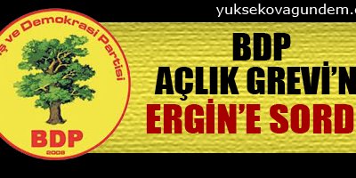 BDP açlık grevini Ergin'e sordu