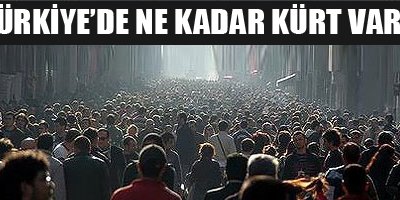 Türkiye'de ne kadar Kürt var?