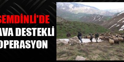 Şemdinli'de hava destekli operasyon