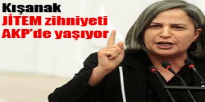 JİTEM Zihniyeti AKPde Yaşıyor