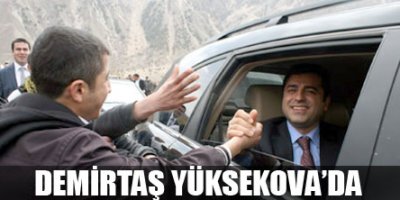 Selahattin Demirtaş Yüksekovada