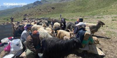 Hakkari’de 2 bin küçükbaş hayvan dağıtıldı