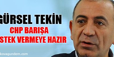 Tekin: CHP barışa destek vermeye hazır