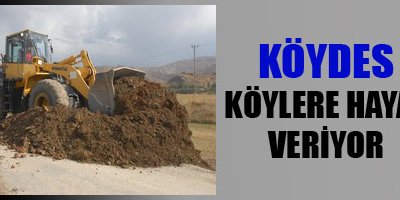 Köydes köylere hayat veriyor