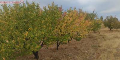 Van'da sonbahar güzelliği