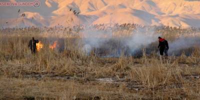 Birçok kuş türünün yaşadığı Nehil Sazlığı'nda yangın