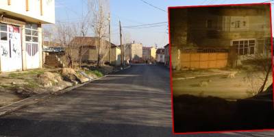 Yüksekova'da kurt sürüsü şehre indi