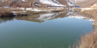 Yüksekova'da su samuru görüntülendi