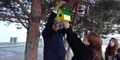 Yüksekova'da Kuşlar için birçok noktaya yuva bırakıldı