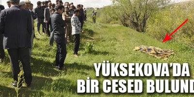 Yüksekova'da Bir Cesed bulundu