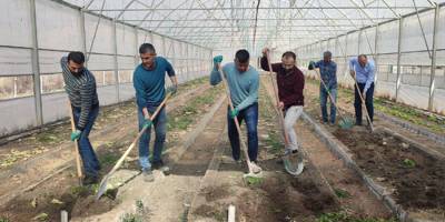 Çukurca seralarında üretim için hazırlıklar devam ediyor