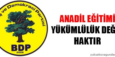 BDP: Anadil eğitimi yükümlülük değil, haktır