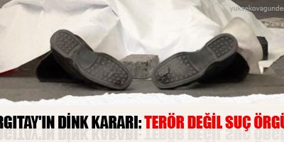Terör değil suç örgütü
