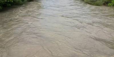 Zap Suyu Çamura Büründü