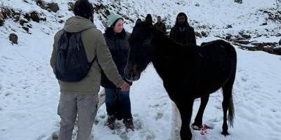 Hakkari'de yaralı halde mahsur kalan at kurtarıldı
