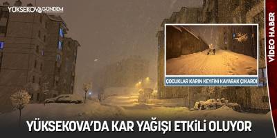 Yüksekova'da kar yağışı etkili oluyor