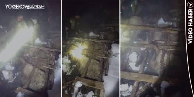 Yoğun kar yağışı nedeniyle ahır çöktü, 40 hayvan telef oldu