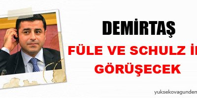 Demirtaş, Füle ve Schulz ile görüşecek