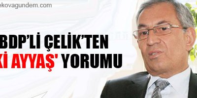 BDP'den 'iki ayyaş' yorumu