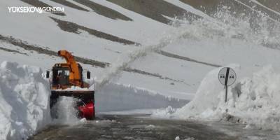 Van-Bahçesaray kara yolunda çalışmalar devam ediyor