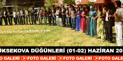 Yüksekova Düğünleri (01-02) Haziran 2013
