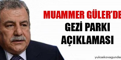 Güler'den Gezi Parkı açıklaması
