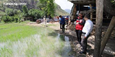 Çukurca’da çeltik ekimi başladı