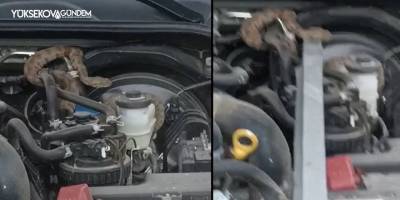 Hakkari'de kamyonetin motoruna giren yılan güçlükle çıkartıldı