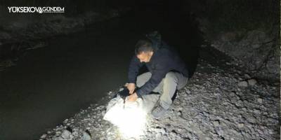 Van'da İnci kefali için gece denetimi