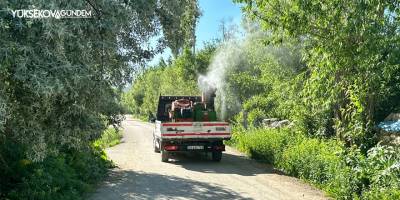 Yüksekova'da haşerelere karşı ilaçlama çalışmaları sürüyor