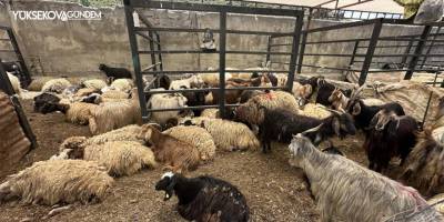 Yüksekova'da kurban pazarı kuruldu