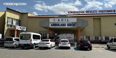 Yüksekova'da başıboş köpekler dehşet saçtı: 12 yaşındaki kız ağır yaralandı