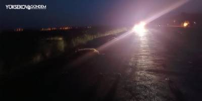 Otomobilin çarptığı sürüde çok sayıda koyun telef oldu