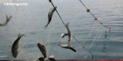 Van Gölü'nde balıkçılar ağlarını suya bıraktı