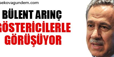 Arınç göstericilerle görüşüyor