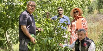 Yüksekovalı Yılmaz, Kuru dağı 20 yıl içinde cevizli vadiye dönüştürdü