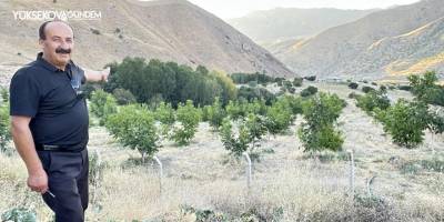 Yüksekova’da çiftçilerin tercihi ceviz ağacı