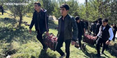 Yüksekova'da Tarım öğrencileri elma hasadı gerçekleştirdi