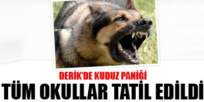 Derikde kuduz paniği