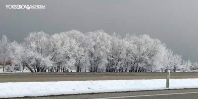 Van'da kırağı ve sis kartpostallık görüntüler oluşturdu