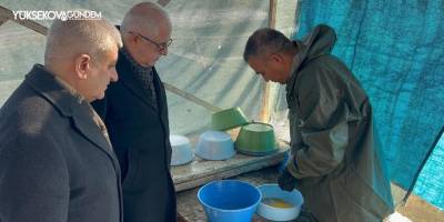 Van’da soğuk havada alabalık sağımı