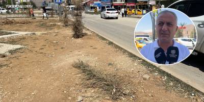 Yüksekova TSO Başkanı Özdemir: “Ağaçların Dikilmesi Baştan Hatalıydı”