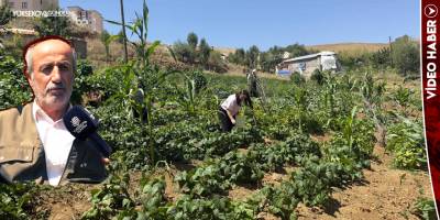 Yüksekovalı Çoruh, Bahçesinden Sofralara Doğal Ürünler Sunuyor