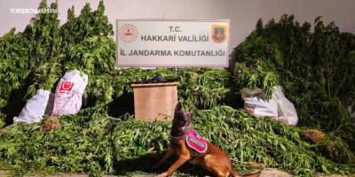 Yüksekova’da Uyuşturucu Operasyonu: 61 Kilo Esrar Ele Geçirildi